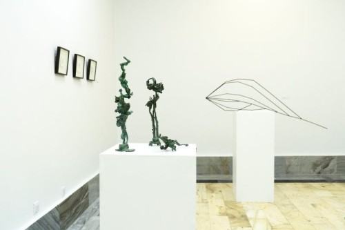 SZCZERE POLE SZCZERE POLE