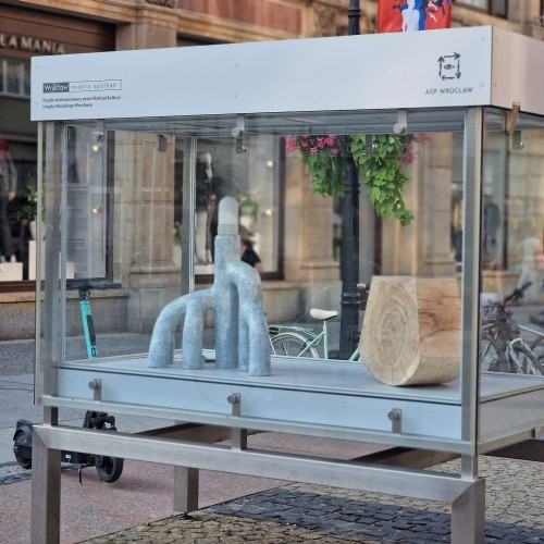 Rzeźba wobec funkcji