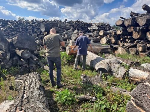 VIII plener rzeźbiarski, Dobrodzień 2022, fot. Andrzej Kosowski