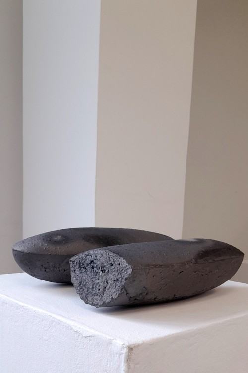 K. Rozpondek, Termofile