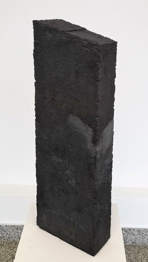 K. Rozpondek, Termofile