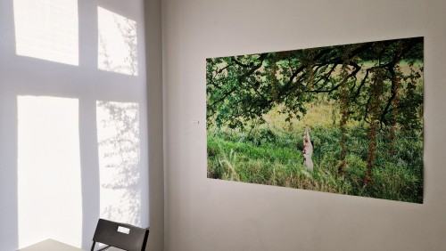 Oprowadzanie po wystawie: O doświadczeniu bezpośrednim i jego braku