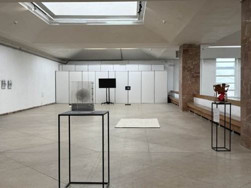 Fede et oriri Fede et oriri