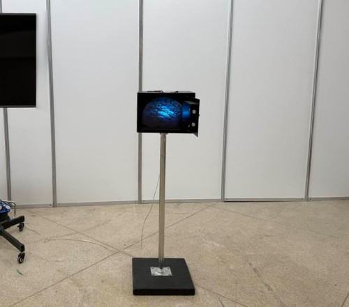 Fede et oriri Fede et oriri