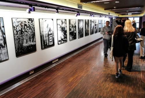 Między cieniem a czułością