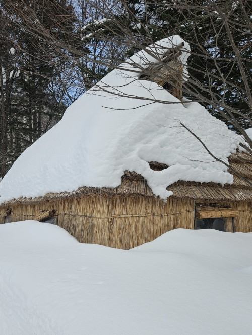 Sympozjum W cieniu. Podróże Bronisława Piłsudskiego, zdj. Anna Kołodziejczyk, ASP Wrocław Sympozjum W cieniu. Podróże Bronisława Piłsudskiego, zdj. Anna Kołodziejczyk, ASP Wrocław