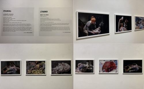 Biennale Scenografii w Tbilisi, wystawa Biennale Scenografii w Tbilisi, wystawa