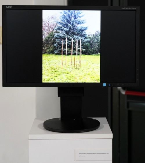 Zniknięcie jako infekcja, Międzynarodowa Wystawa Studentów, zdj. Marek Sienkiewicz