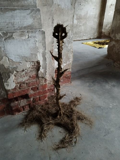 Praca Pablo Ramireza Gonzaleza Praca Pablo Ramireza Gonzaleza