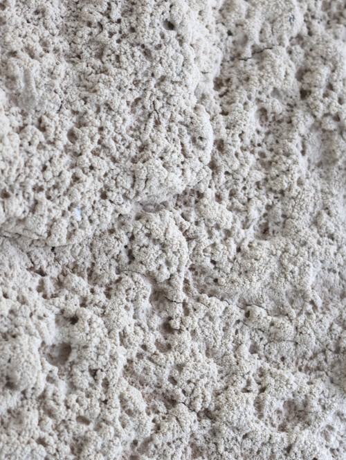 dokumnetacja-wystawy-4-fot.-magdalena-maros