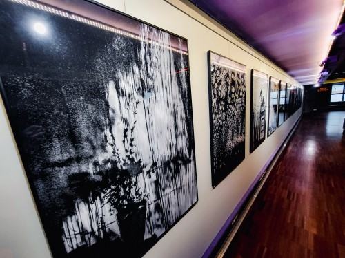 Między cieniem a czułością