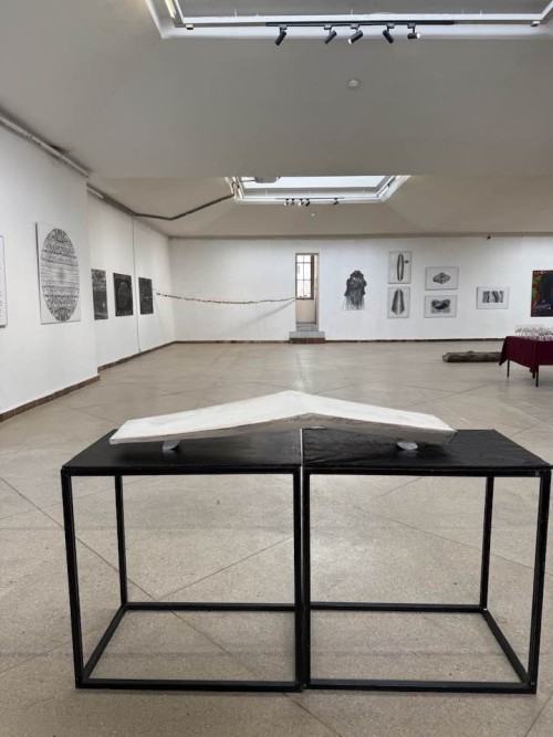 Fede et oriri Fede et oriri