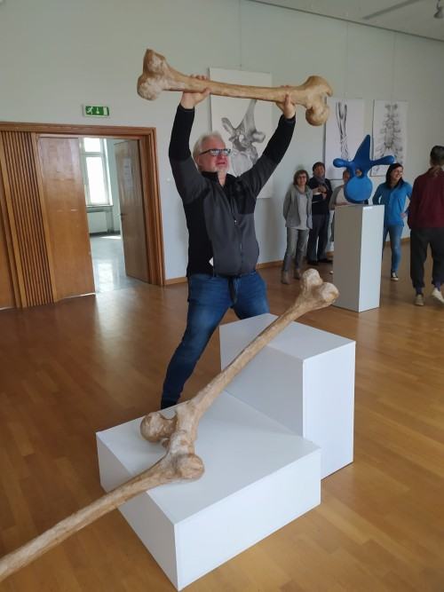 Corpus Humanum II Corpus Humanum II