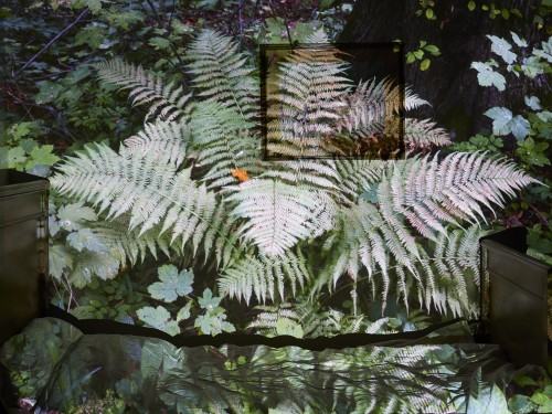 3_jaworski-grzegorz_las.jpg Grzegorz Jaworski, Las