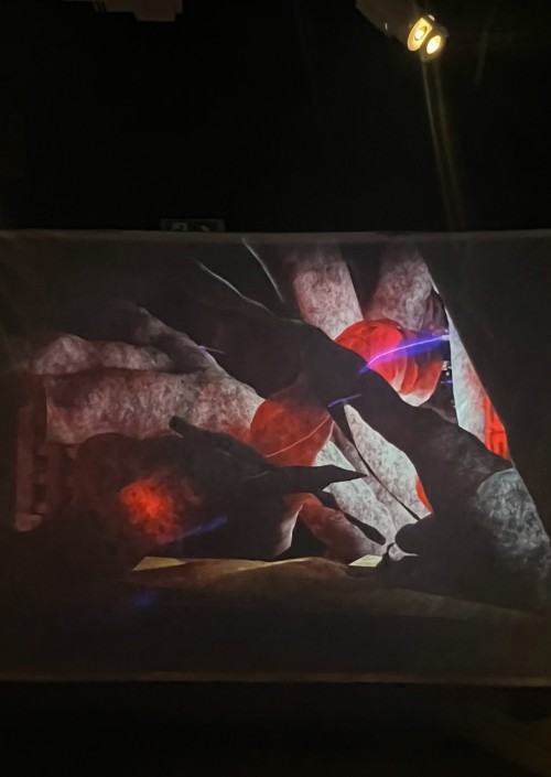 miejsce_ ex_aequo_a -  Dominika Firla, Akademia Sztuk Pięknych im. Eugeniusza Gepperta we Wrocławiu, promotor dr Bartosz Zamarek