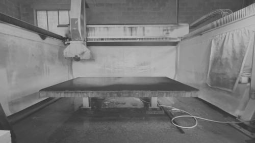 3_pruchniewicz-alicja_lathraea-squamaria-parasite-plant.jpg Alicja Pruchniewicz, Lathraea-squamaria-parasite-plant