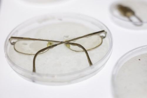 Response of the body under different social structures , Dilay Kocogullari