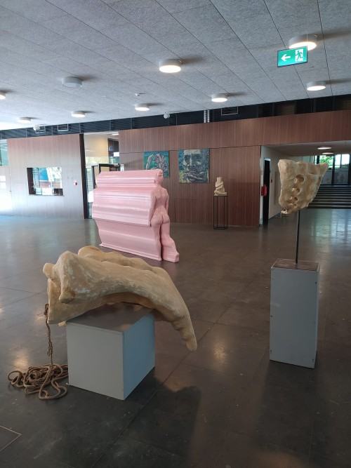 Corpus Humanum , zdj. R. Grabkowski Corpus Humanum , zdj. R. Grabkowski