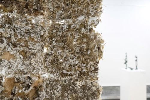 SZCZERE POLE SZCZERE POLE