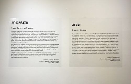 Biennale Scenografii w Tbilisi, wystawa Biennale Scenografii w Tbilisi, wystawa