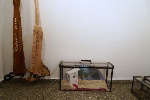 Marek Sienkiewicz, O zanikających Polskich Ogrodach Marek Sienkiewicz, O zanikających Polskich Ogrodach