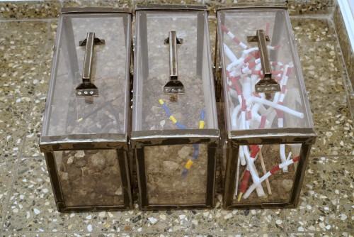 Marek Sienkiewicz, O zanikających Polskich Ogrodach Marek Sienkiewicz, O zanikających Polskich Ogrodach