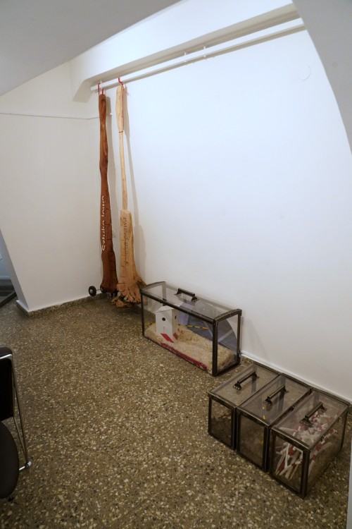 Marek Sienkiewicz, O zanikających Polskich Ogrodach Marek Sienkiewicz, O zanikających Polskich Ogrodach