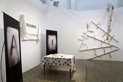 Marek Sienkiewicz, O zanikających Polskich Ogrodach Marek Sienkiewicz, O zanikających Polskich Ogrodach