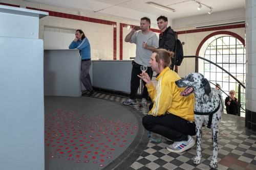 Katarzyna Frankowska, Akceleracja wybudzania, wernisaż