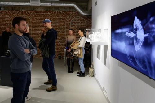 Adam Abel, Rough code