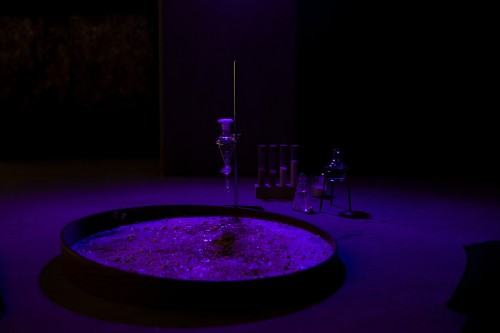 fotorelacja z wystawy TINNITUS AURIS fotorelacja z wystawy TINNITUS AURIS