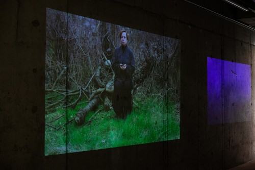 fotorelacja z wystawy TINNITUS AURIS fotorelacja z wystawy TINNITUS AURIS