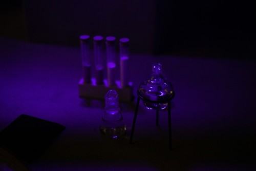 fotorelacja z wystawy TINNITUS AURIS fotorelacja z wystawy TINNITUS AURIS