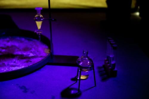 fotorelacja z wystawy TINNITUS AURIS fotorelacja z wystawy TINNITUS AURIS