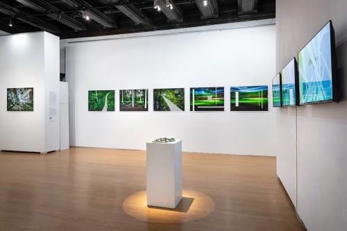 Michał Pietrzak Terytoria