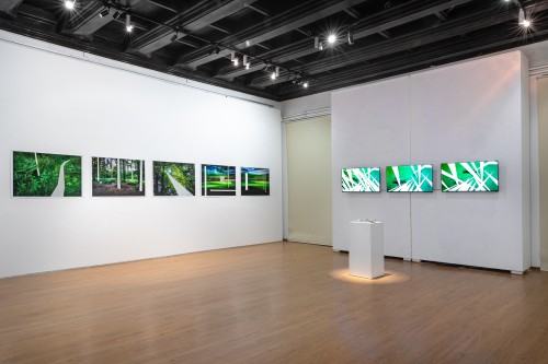 Michał Pietrzak Terytoria