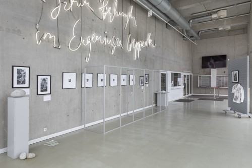 2023.03.08 DOK Hol CSU Śnienia Przybyszowska Krupa-Kapuśniak