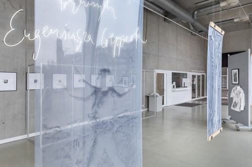 2023.03.08 DOK Hol CSU Śnienia Przybyszowska Krupa-Kapuśniak