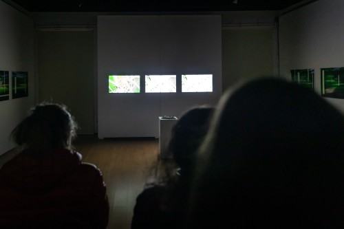 Michał Pietrzak | Terytoria