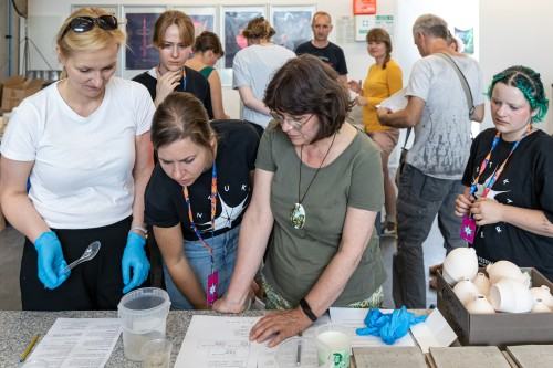 Warsztaty Ekspresja pierwiastków – laboratorium barw, XIV FWT Warsztaty Ekspresja pierwiastków – laboratorium barw, XIV FWT