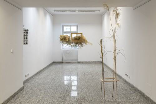 Marek Wałach 30x40 Marek Wałach 30x40