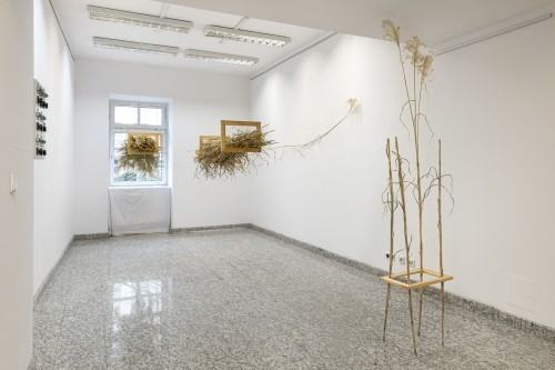 Marek Wałach 30x40 Marek Wałach 30x40