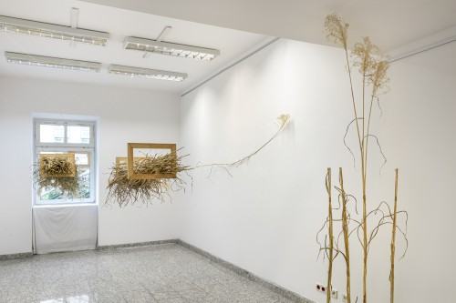 Marek Wałach 30x40 Marek Wałach 30x40