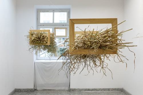 Marek Wałach 30x40 Marek Wałach 30x40