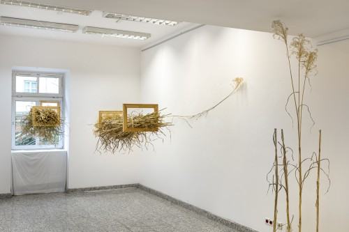 Marek Wałach 30x40 Marek Wałach 30x40