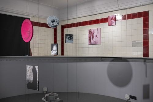 Ewa Babiarz / Too many Dicks on the Dance Floor Ewa Babiarz / Too many Dicks on the Dance Floor