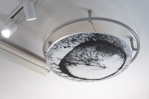 Ewa Babiarz / Too many Dicks on the Dance Floor Ewa Babiarz / Too many Dicks on the Dance Floor