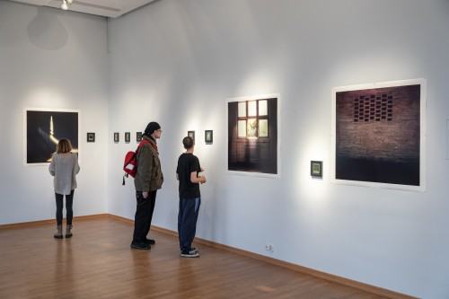 Prot Januszkiewicz, In the meantime