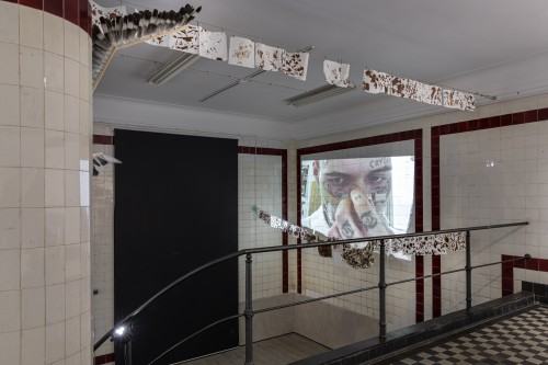 Niko Baisera / ⁓*﹡Wszystkie moje łzy najsłodsze ciepłych ladacznic dłonie ocierają﹡*⁓