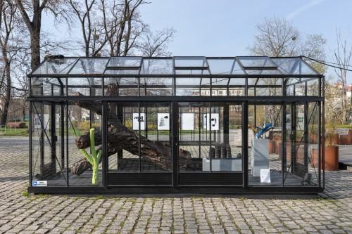 Hubert Bujak - D.N.A.